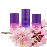 Radiant Regime Trio